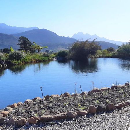 Gecko Cottage At Artemis Franschhoek Buitenkant foto
