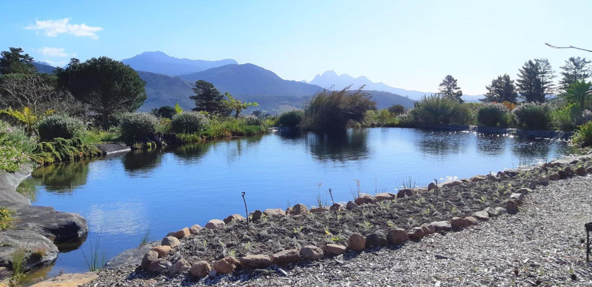 Gecko Cottage At Artemis Franschhoek Buitenkant foto