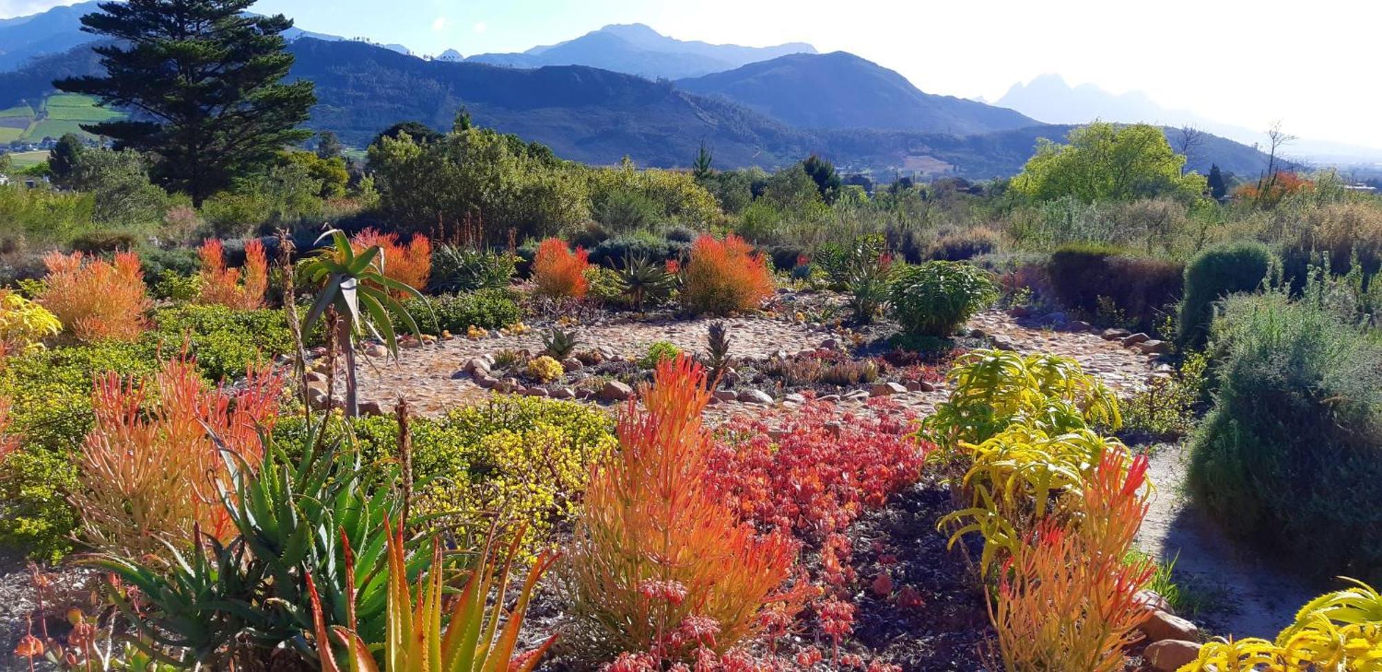 Gecko Cottage At Artemis Franschhoek Buitenkant foto