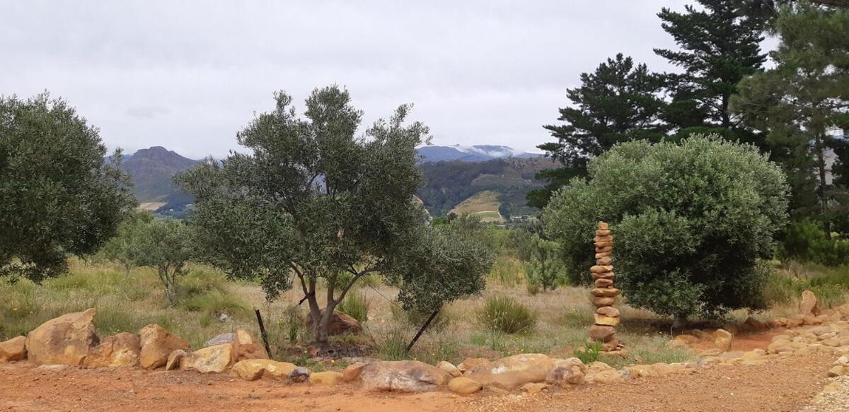 Gecko Cottage At Artemis Franschhoek Buitenkant foto